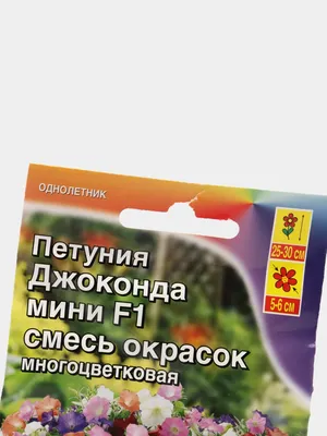 Петуния Джоконда мини белоснежная (семена,цветы) купить по цене 114.3 ₽ в  интернет-магазине KazanExpress