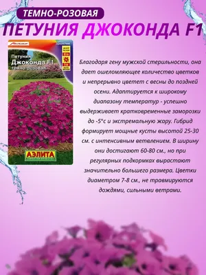 Петуния АЭЛИТА Джоконда мини F1 синий бархат Одн (драже в пробирке) 7шт  00-00584799 - выгодная цена, отзывы, характеристики, фото - купить в Москве  и РФ