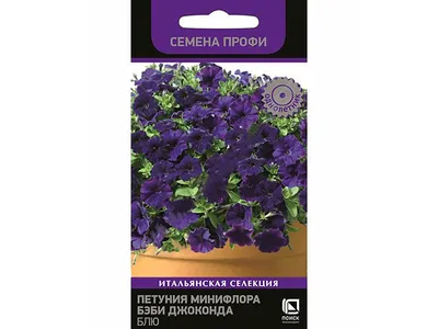 Рассада петунии мультифлора Джоконда F1 Фуксия кассета Е6 — цена в  Энгельсе, купить в интернет-магазине, характеристики и отзывы, фото