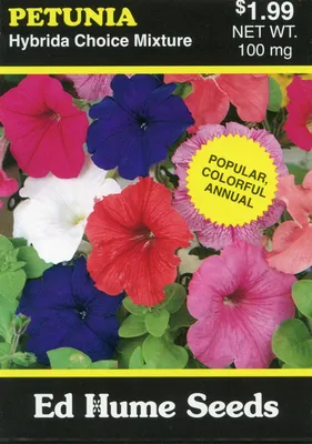 Petunia Hybrida Seeds - Petunia Flower Seed Mix