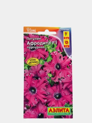 Петуния Афродита пурпурная (семена,цветы) купить по цене 65.7 ₽ в  интернет-магазине KazanExpress