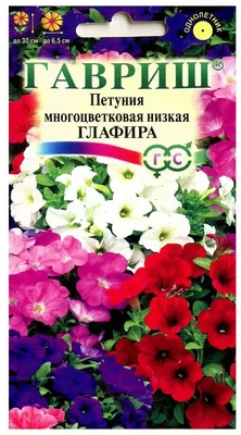 Петуния Глафира многоцветковая низкая 0,1г Одн смесь 30см (Гавриш) Без  пробирки — купить в интернет-магазине по низкой цене на Яндекс Маркете