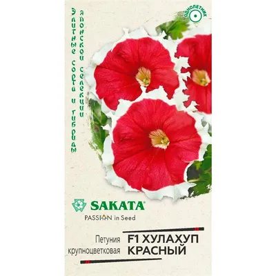 Купить Петуния Глафира смесь 0,1гр 00040008005 за 27руб. |Garden-zoo.ru