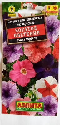 Петуния Афродита пурпурная (семена,цветы) купить по цене 65.7 ₽ в  интернет-магазине KazanExpress