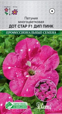 Звёздно-небесные петунии из семян. В чём подвох? | В окружении цветов. |  Дзен