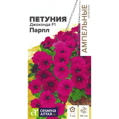 Купить Петуния Джоконда Парпл многоцветковая F1 (Семена алтая) с доставкой  почтой по России