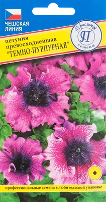 Семена цветов Петуния превосходная тёмно-пурпурная Престиж семена по цене  37 ₽/шт. купить в Москве в интернет-магазине Леруа Мерлен