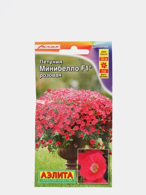 Петуния Минибелло розовая (семена,цветы) купить по цене 119 ₽ в  интернет-магазине KazanExpress