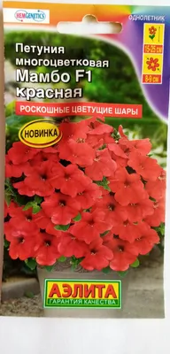 Семена цветов петунии ПОИСК ампельная Опера красная 5 шт. — цена в  Туймазах, купить в интернет-магазине, характеристики и отзывы, фото