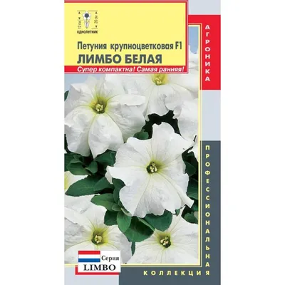 Petunia Limbo GP natural dwarf – AmeriSeed