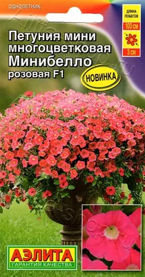 Петуния мелкоцветковая (Petunia milliflora)