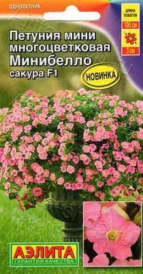 Петуния грандифлора Суперкаскад Ред (PanFmerican Seed)100 др Петуния в  Сыктывкаре