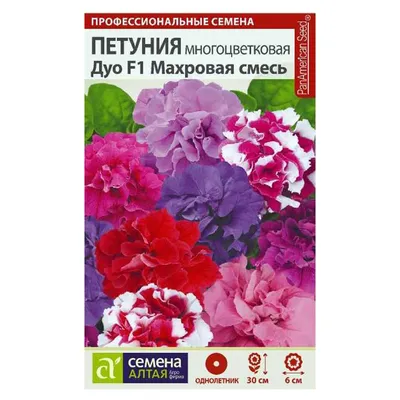 Подвесная Петуния (Petunia), микс – Купить в интернет-магазине ООО Весна,  г. Санкт-Петербург