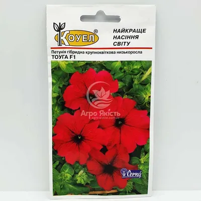 https://nikitovka.com/ru/petunia/3720-petunia-dwarf-joy-f1-4823094048033.html