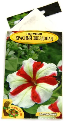 Петуния низкорослая Красный звездопад, семена, 0,05гр., Польша, (сдв)  (ID#178255012), цена: 1.20 руб., купить на Deal.by