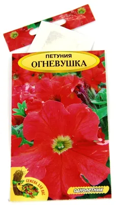 Петуния крупноцвет. низкая Эз Райде Роуз F1 Купить элитные семена онлайн  доставка по РФ | Гавриш шоп