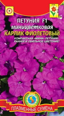 Петуния Богатое цветение смесь 0,1гр Аэлита цв АА - Rassada74 купить в  Челябинске