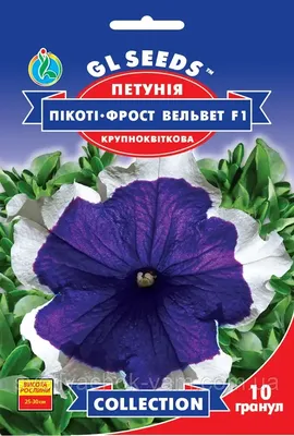 Петуния Кадриль (компактная , низкорослая, смесь)