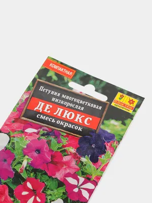 Петуния низкорослая Звездная россыпь, семена, 0,05гр., Польша (сдв):  продажа, цена в Брестской области. Семена и клубни трав и цветов от  \"Profsemena.by магазин семян ООО \"Леда-Сидс\"\" - 178251812