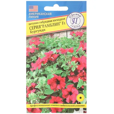 Petunia Ramblin Sugar Plum | Trees to plant, Garden containers, Petunias