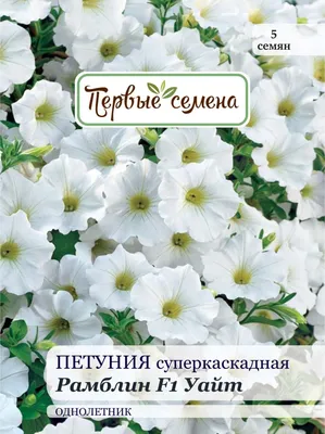 Petunia multiflora Ramblin'™ 'Calypso Mix' Petunia | Garden Center Marketing