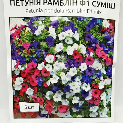 BIN2R6D3 Petunia Seeds Ramblin Salmon Capri Trailing Petunia 25 Pelleted  Seeds - Etsy Finland