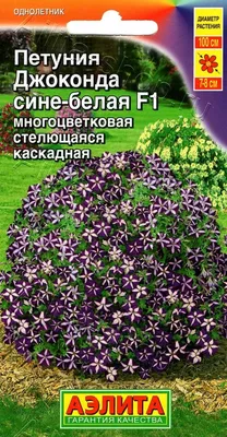 Петуния Джоконда F1 сине-белая 7шт, семена | Купить в интернет магазине  Аэлита