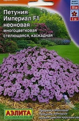 Заказать петуния Супер каскад Персик в Ростове-на-Дону по цене 180 ₽ в  интернет-магазине