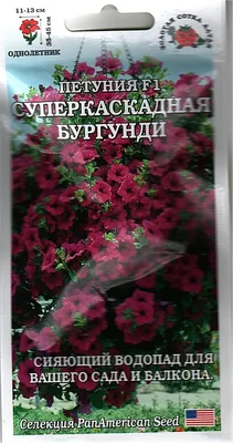 Петуния суперкаскадная бургунди F1 Золотая сотка Алтая - «Петуния на  балконе» | отзывы