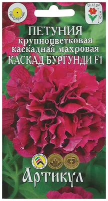 Петуния суперкаскадная Бургунди (семена, цветы) купить по цене 71 ₽ в  интернет-магазине KazanExpress