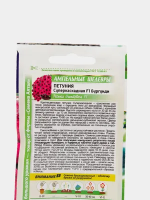 Петуния АЭЛИТА суперкаскадная F1 бургунди Одн (драже в пробирке) 10шт  00-00572593 - выгодная цена, отзывы, характеристики, фото - купить в Москве  и РФ
