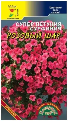 Петуния Сурфиния Роуз Вэйн Вельвет F1, семена – купить в питомнике \"КСП\" с  доставкой по России