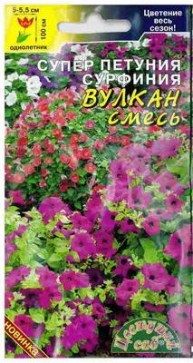 Купить петуния сурфиния petunia x hybrida snow по цене 6 Br в  интернет-магазине Юнифлор