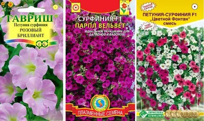 Сурфиния Йеллоу - Petunia Surfinia Yellow - Рассада цветов СПб