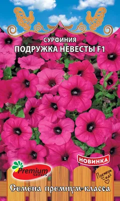 Петуния Сурфиния Хот Пинк (Surfinia Hot Pink) — черенок — Рассада цветов и  овощей.