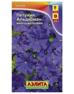 Картина по номерам на холсте в подарочной коробке Фиолетовая петуния 50*40  см (ID#1711763583), цена: 360 ₴, купить на Prom.ua