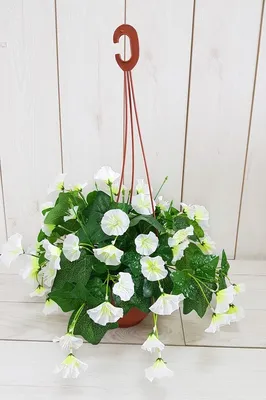 Купить Искусственные цветы Петуния в подвесном кашпо/Искусственные цветы  для декора/Декор для дома по выгодной цене в интернет-магазине OZON.ru  (268596992)