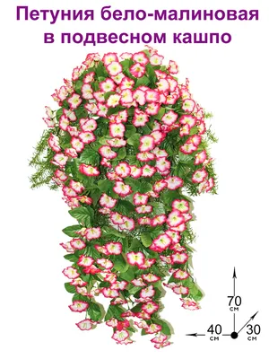 Купить Искусственная Петуния бело-малиновая в подвесном кашпо, ФитоПарк по  выгодной цене в интернет-магазине OZON.ru (596786312)