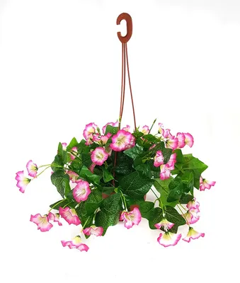 Купить Искусственные цветы Петуния в подвесном кашпо/Искусственные цветы  для декора/Декор для дома по выгодной цене в интернет-магазине OZON.ru  (265696757)