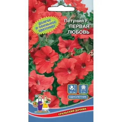 Amazon.com : CHUXAY GARDEN Mixed Star Petunia Flower Seed Heirloom  Violetflower Petunia Fall Flower Seeds for Planting Outdoors 100 Seeds Red  Purple Blue Native Wildflower Decor Garden Striking Landscaping Plant :  Patio,