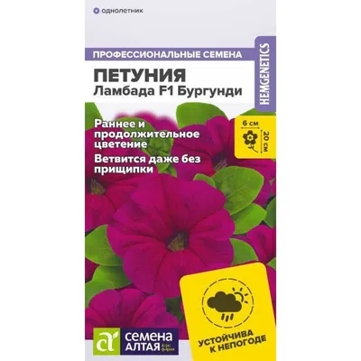 Петуния ампельная розовая с прожилками d-12 см - купить в Москве: цена 239  руб. Фото, описание, технические характеристики, отзывы.