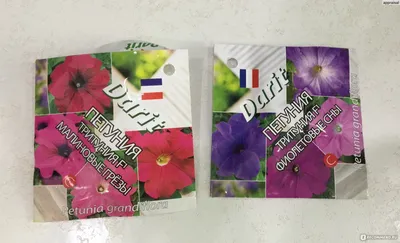 Петуния Сидония F2 многоцветковая, смесь окрасок 10шт, семена | Купить в  интернет магазине Аэлита