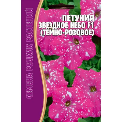 Петуния \"звездное небо\" - Рассада петунии сортовой \" Звездное небо\". В  наличии растения - цветущие и на стадии бутонизации.