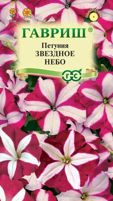 Звёздно-небесные петунии из семян. В чём подвох? | В окружении цветов. |  Дзен