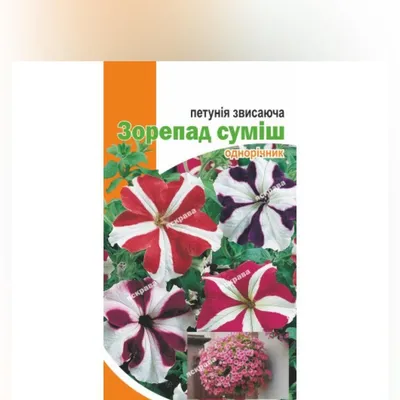 Семена Петуния Звездопад смесь 0,05гр купить в интернет-магазине Доминго