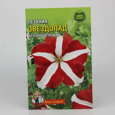 Петуния Обыкновенный Звездопад – купить семена в интернет-магазине Лафа с  доставкой по Москве, Московской области и России