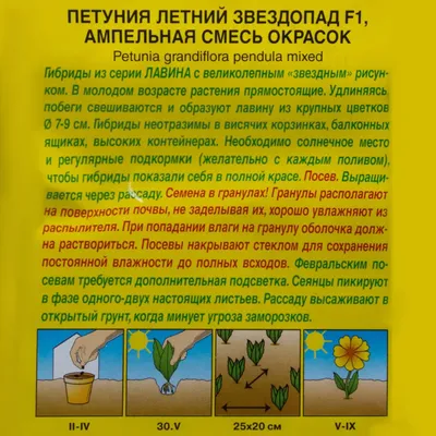 Семена цветов Петуния Звездопад 0,1 грамм (ID#10429915), цена: 3.50 грн,  купить на Prom.md