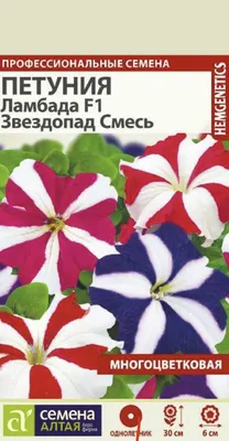 Петуния Звездопад - описание, заказать семена по лучшей цене в Самаре