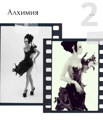 Дикие ирисы-онкоциклы - 4