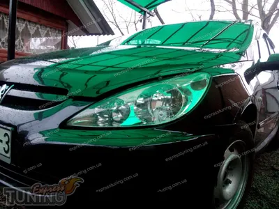 Альтернативная оптика задняя Dectane для PEUGEOT 307 (01-08) LED Black |  Tuningmode.ru